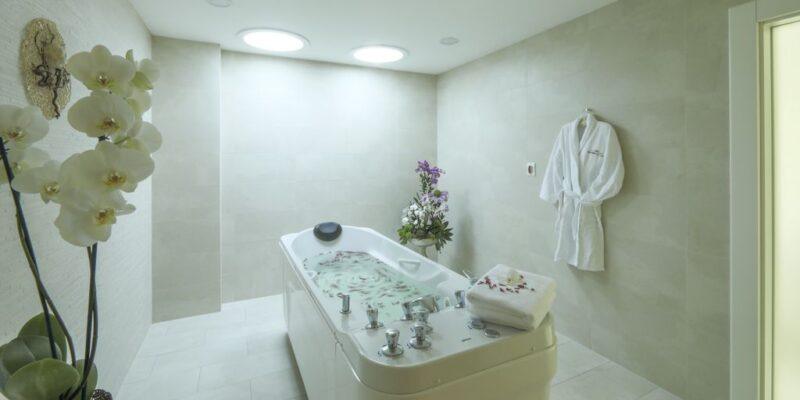 Liver & Vascular Support