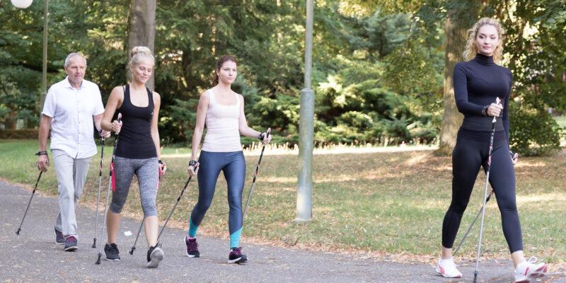 Weight loss program basic